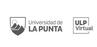 Universidad de La Punta - ULP Virtual