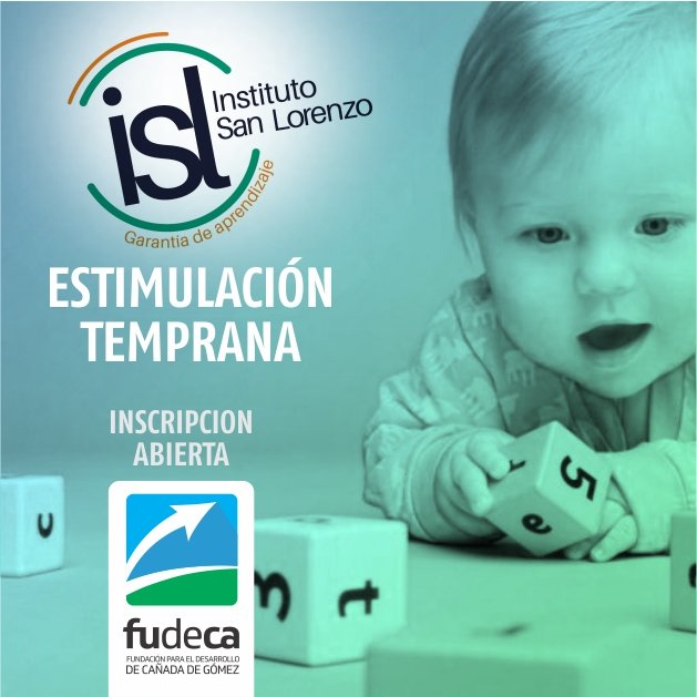 CURSO ESTIMULACIÓN TEMPRANA