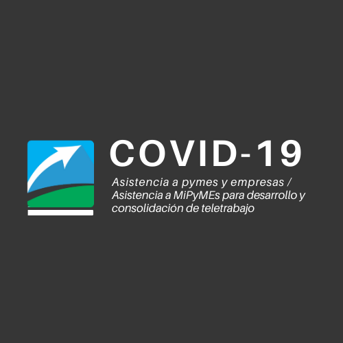 ASISTENCIA A PYMES Y EMPRESAS